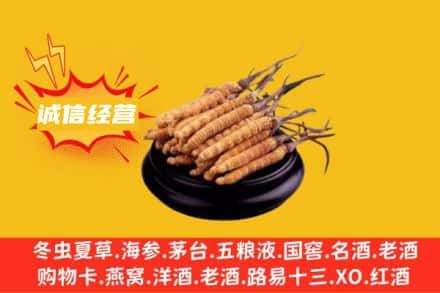 南陵县回收冬虫夏草